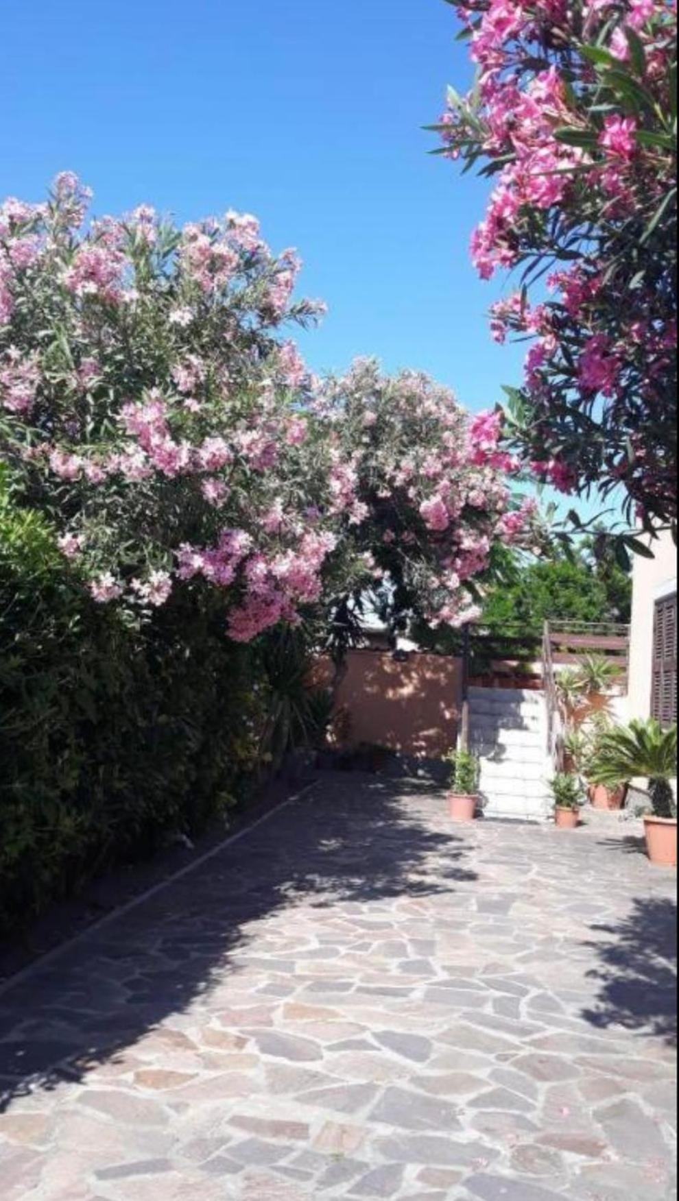 Giorgia Airport 2 Fiumicino Bed & Breakfast Exterior photo